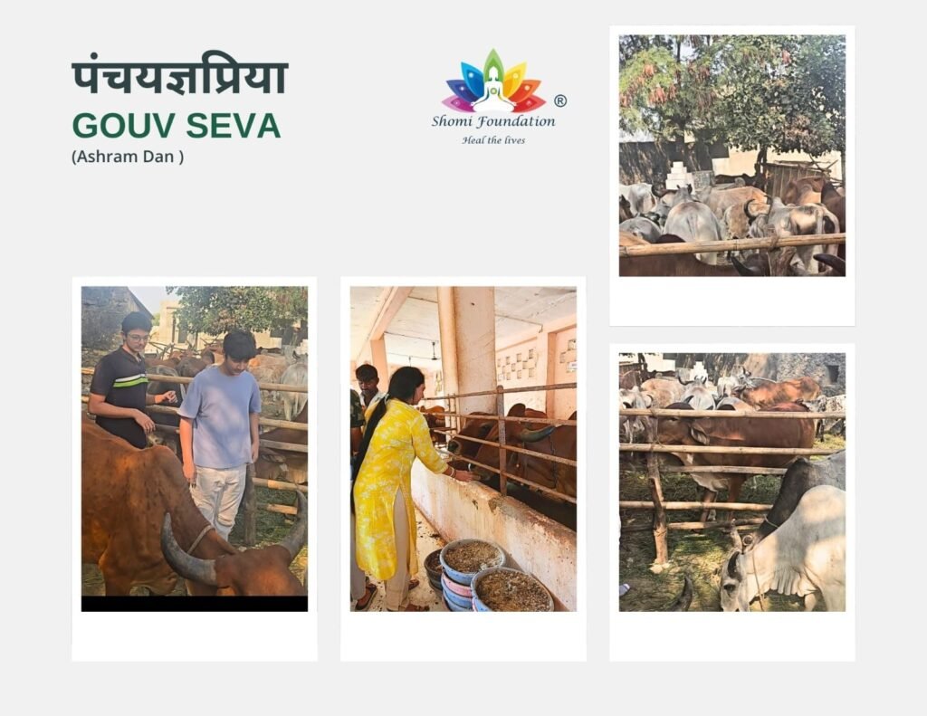 WhatsApp Image 2026-04-03 at 9.25.43 PM