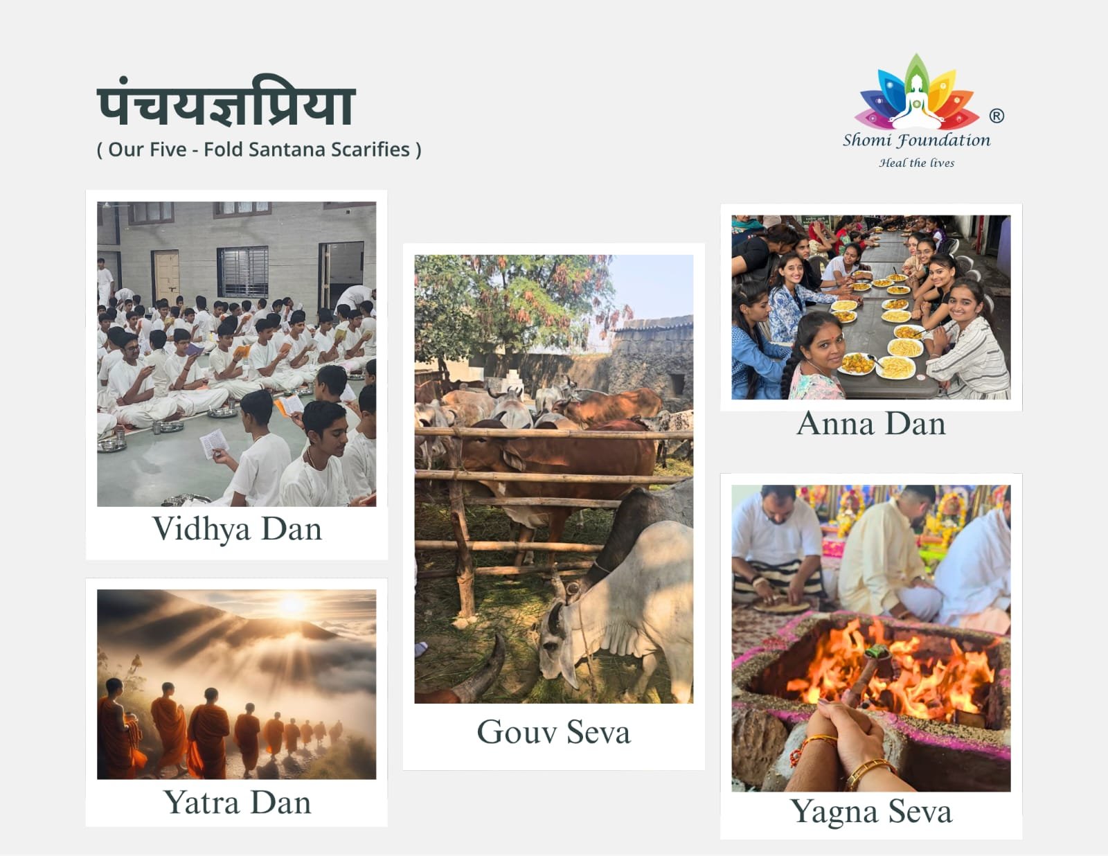 The Vision of Shree Seva